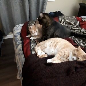 Meet your Posher, Jacqueline